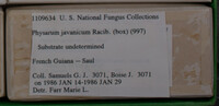 Image Associated With the Occurence